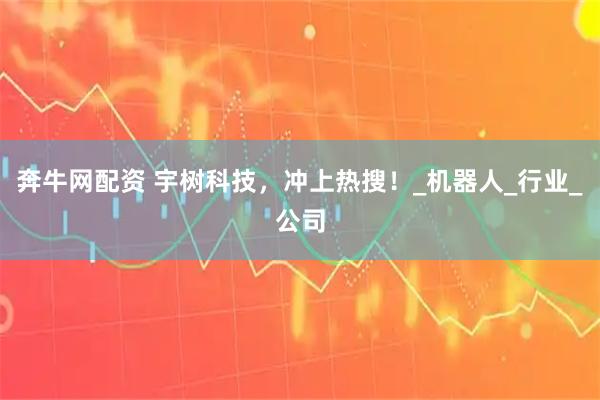 奔牛网配资 宇树科技，冲上热搜！_机器人_行业_公司