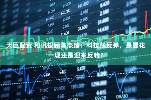天臣配资 和讯投顾陈杰臻：科技线反弹，是昙花一现还是迎来反转？