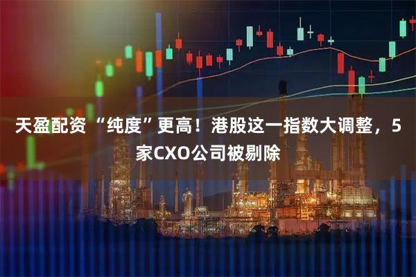 天盈配资 “纯度”更高！港股这一指数大调整，5家CXO公司被剔除